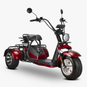 ELEKTRIČNI TRICIKL AMIGO PRO