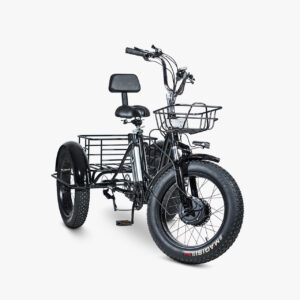 ELEKTRIČNI TRICIKL E-0014